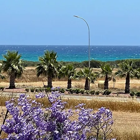 فيلة Maeva